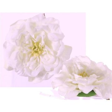 Konstgjord rosblomma SASKIA, flytande, krämfärgad, 5cm, Ø15cm