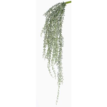 Konstgjord senecio-hängväxt KANELO, med stödpinne, grågrön, 80cm