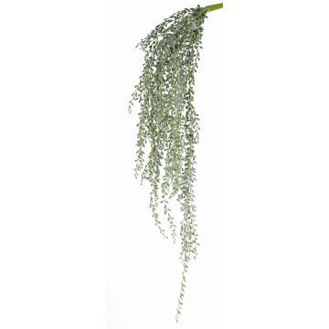 Konstgjord senecio-hängväxt KANELO, med stödpinne, grågrön, 80cm