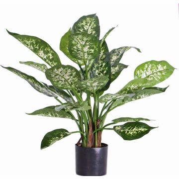 Konstgjord Dieffenbachia DILLA, grön-vit, 50cm
