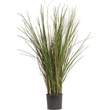 Konstgjort vassgräs DELSIN, crossdoor, grönbrunt, 80cm