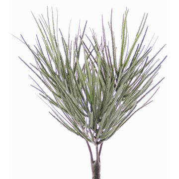 Konstgjord Euphorbia sipolisii CHENOA på stickpinne, grågrön, 30cm, Ø20cm Konstgjord Euphorbia sipolisii CHENOA på stickpinne, grågrön, 30cm, Ø20cm