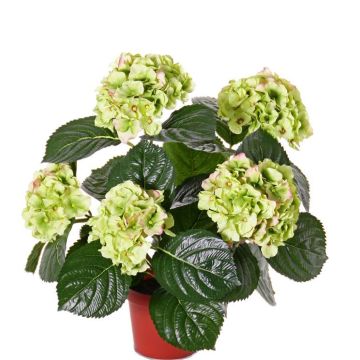 Konstgjord hortensia TEMARI, grön, 40cm, Ø10-12cm Konstgjord hortensia TEMARI, grön, 40cm, Ø10-12cm