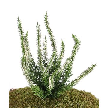 Konstgjord ljung IMKE på sticka, krämfärgad, 25cm, Ø1cm Konstgjord ljung IMKE på sticka, krämfärgad, 25cm, Ø1cm