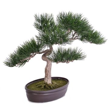 Konstgjord bonsai-tall ARATA med rötter, i dekorativ skål, 45cm