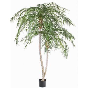 Konstgjord fenixpalm PANCHALI, crossdoor, 225cm Konstgjord fenixpalm PANCHALI, crossdoor, 225cm