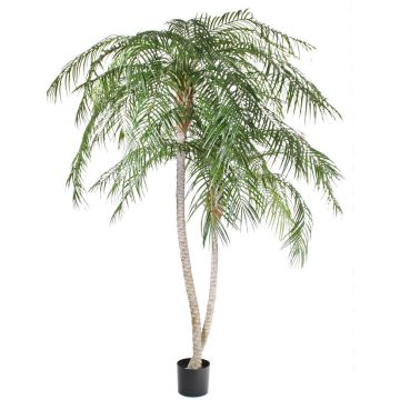 Konstgjord fenixpalm PANCHALI, crossdoor, 225cm Konstgjord fenixpalm PANCHALI, crossdoor, 225cm
