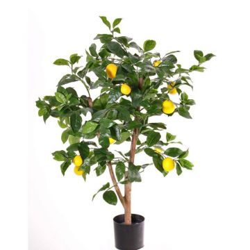 Konstgjord citronträd ZYPRIAN, äkta stam, med frukter, 85cm Konstgjord citronträd ZYPRIAN, äkta stam, med frukter, 85cm