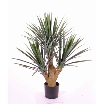 Konstgjord yuccapalm gloriosa KEYLA, crossdoor, 70cm
