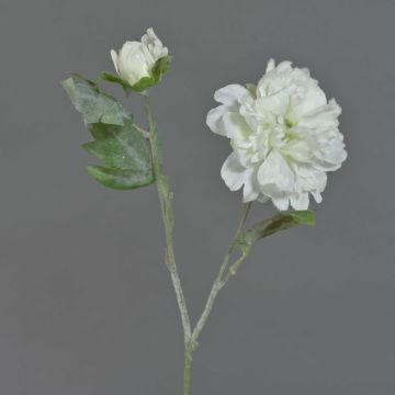 Konstgjord pionkvist MALINE, snötäckt, vit, 60cm, Ø13cm Konstgjord pionkvist MALINE, snötäckt, vit, 60cm, Ø13cm