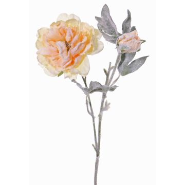 Konstgjord pionkvist MALINE, snötäckt, laxgul, laxros-gul, 60cm, Ø13cm Konstgjord pionkvist MALINE, snötäckt, laxgul, laxros-gul, 60cm, Ø13cm