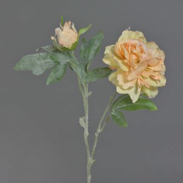 Konstgjord pionkvist MALINE, snötäckt, laxgul, laxros-gul, 60cm, Ø13cm Konstgjord pionkvist MALINE, snötäckt, laxgul, laxros-gul, 60cm, Ø13cm