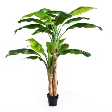 Konstgjord bananträd AMARU, 240cm Konstgjord bananträd AMARU, 240cm