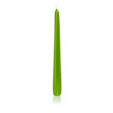 Spetsljus PALINA, grönt, 25cm, Ø2,5cm, 8h - Tillverkat i Tyskland Spetsljus PALINA, grönt, 25cm, Ø2,5cm, 8h - Tillverkat i Tyskland