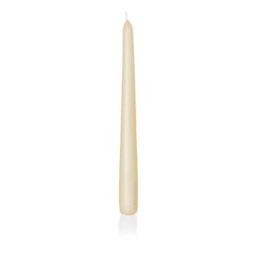 Spetsljus PALINA, krämfärgat, 25cm, Ø2,5cm, 8 timmar - Tillverkat i Tyskland Spetsljus PALINA, krämfärgat, 25cm, Ø2,5cm, 8 timmar - Tillverkat i Tyskland