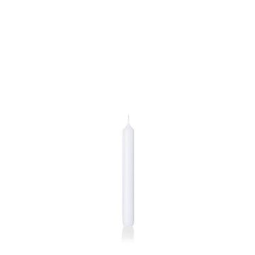 Ljus CHARLOTTE, vitdoppad, 18,5cm, Ø2,1cm, 6,5h - Tillverkad i Tyskland