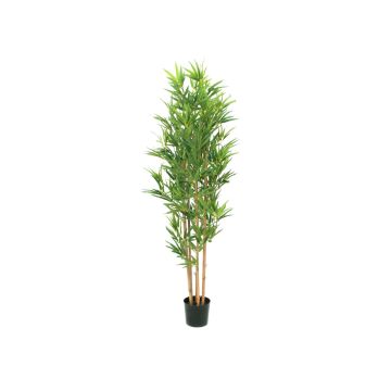 Konstgjord bambu ELISSO, äkta stammar, 150cm