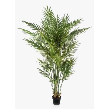 Konstgjord arecapalm LUVA, 170cm