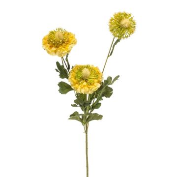 Konstgjord kvist Scabiosa caucasica ANAYS, gulgrön, 80cm