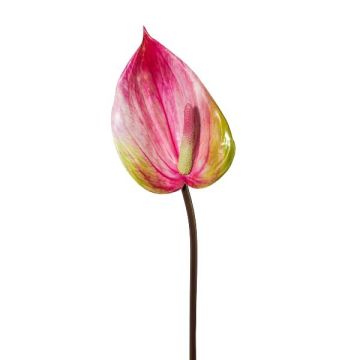 Konstgjord blomma, flamingoblomma GRUNT, rosa, 75cm Konstgjord blomma, flamingoblomma GRUNT, rosa, 75cm