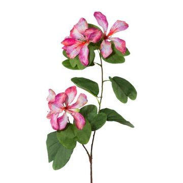 Dekorativ kvist Bauhinia DRELMO, rosa, 85cm Dekorativ kvist Bauhinia DRELMO, rosa, 85cm