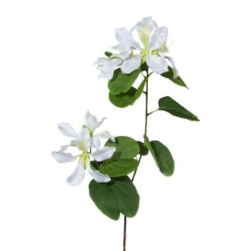 Dekorativ gren Bauhinia DRELMO, vit, 85cm Dekorativ gren Bauhinia DRELMO, vit, 85cm