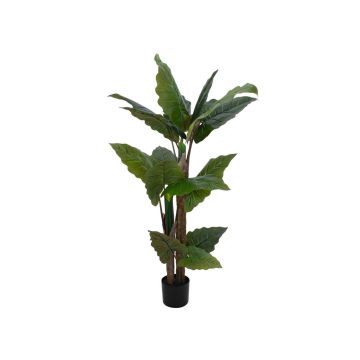 Konstväxt Alocasia Calidora PATRICIUS, grön, 140cm Konstväxt Alocasia Calidora PATRICIUS, grön, 140cm