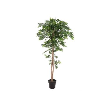 Konstgjord Longifolia CAYA, konstgjord stam, 165cm