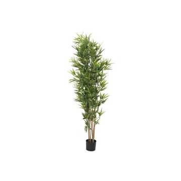 Konstgjord bambu ELISSO, äkta stammar, 180cm Konstgjord bambu ELISSO, äkta stammar, 180cm