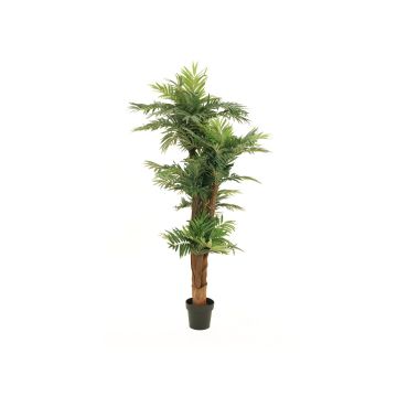 Konstgjord Areca-palm CYNTHIA, 170cm Konstgjord Areca-palm CYNTHIA, 170cm