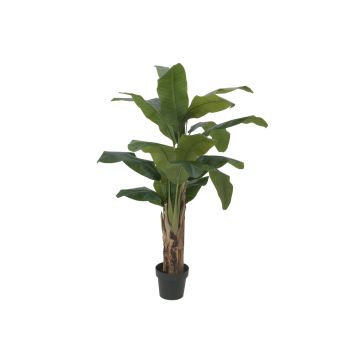 Konstgjord bananträd FLORIS, äkta stam, 120cm