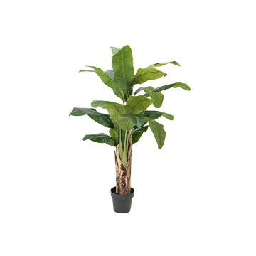 Konstgjord bananträd FLORIS, äkta stam, 120cm