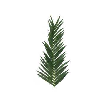 Konstgjorda kokospalmblad GLORINA, 150cm