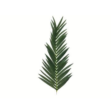 Konstgjorda kokospalmblad GLORINA, 150cm