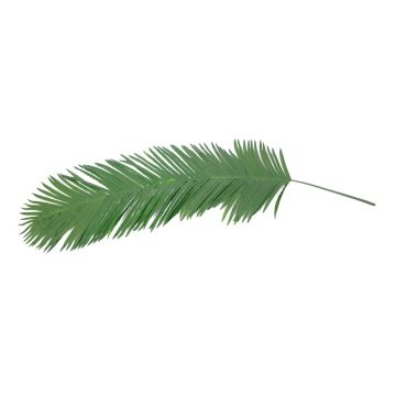 Konstgjord kokospalmblad GLORINA, 180cm