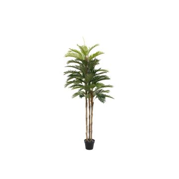Textil Kentia-palm JORGANA, 150cm