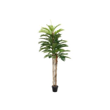Textil Kentia-palm JORGANA, 180cm