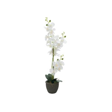 Konstgjord orkidé Phalaenopsis KATALIN, dekorativ kruka, vit, 80cm