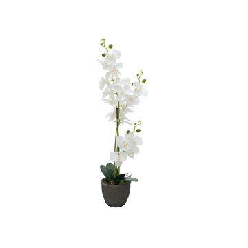 Konstgjord orkidé Phalaenopsis KATALIN, dekorativ kruka, vit, 80cm Konstgjord orkidé Phalaenopsis KATALIN, dekorativ kruka, vit, 80cm