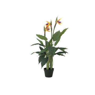 Strelitzia i plast LAKISHA, orange-violett, 90cm Strelitzia i plast LAKISHA, orange-violett, 90cm