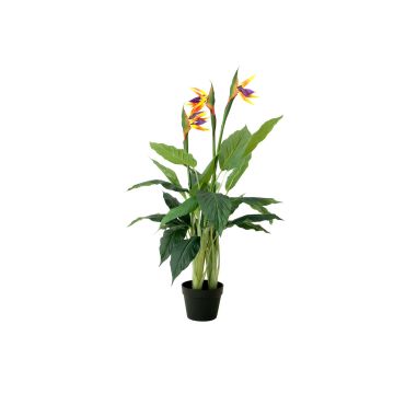 Strelitzia i plast LAKISHA, orange-violett, 90cm Strelitzia i plast LAKISHA, orange-violett, 90cm