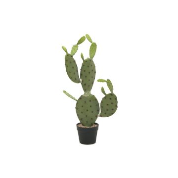 Konstgjord fikonkaktus SILVANO, grön, 75cm Konstgjord fikonkaktus SILVANO, grön, 75cm