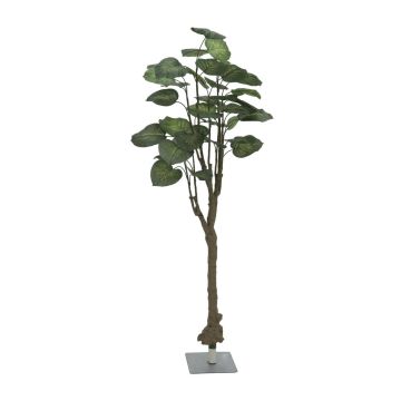 Textilpothos SISAN, konstgjord stam, grön-gul, 175cm Textilpothos SISAN, konstgjord stam, grön-gul, 175cm