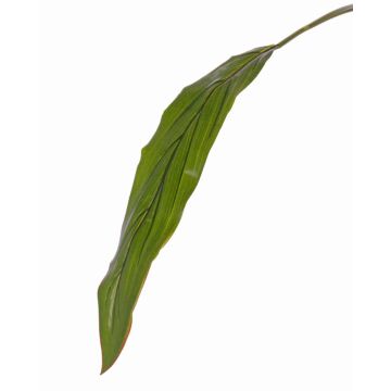 Konstgjorda blad av keulenlilja ELARA, gröna, 90cm Konstgjorda blad av keulenlilja ELARA, gröna, 90cm
