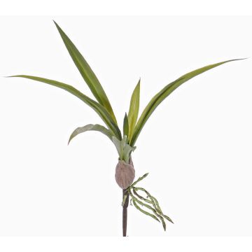 Konstgjorda blad från Oncidium-orkidén HENNES, luftrötter, 25x40cm Konstgjorda blad från Oncidium-orkidén HENNES, luftrötter, 25x40cm