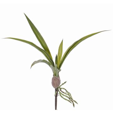 Konstgjorda blad från Oncidium-orkidén HENNES, luftrötter, 25x40cm Konstgjorda blad från Oncidium-orkidén HENNES, luftrötter, 25x40cm