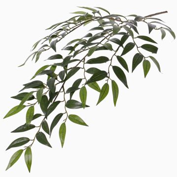 Konstgjord Smilax-gren JURIA, grön, 70cm