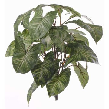 Konstgjord syngonium RUBEN på stödpinne, grön-vit, 40cm Konstgjord syngonium RUBEN på stödpinne, grön-vit, 40cm