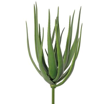 Konstgjord aloe vera LAURENA, grön, stödpinne, 65cm, Ø25cm Konstgjord aloe vera LAURENA, grön, stödpinne, 65cm, Ø25cm