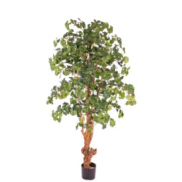 Konstgjord ginkgo CAI, naturstam, 180cm